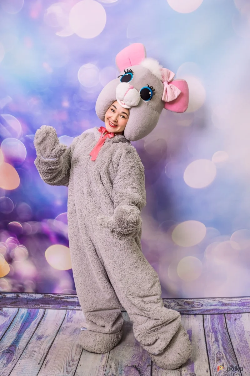 Возьмите Костюм мышки напрокат (Фото 1) в Москве