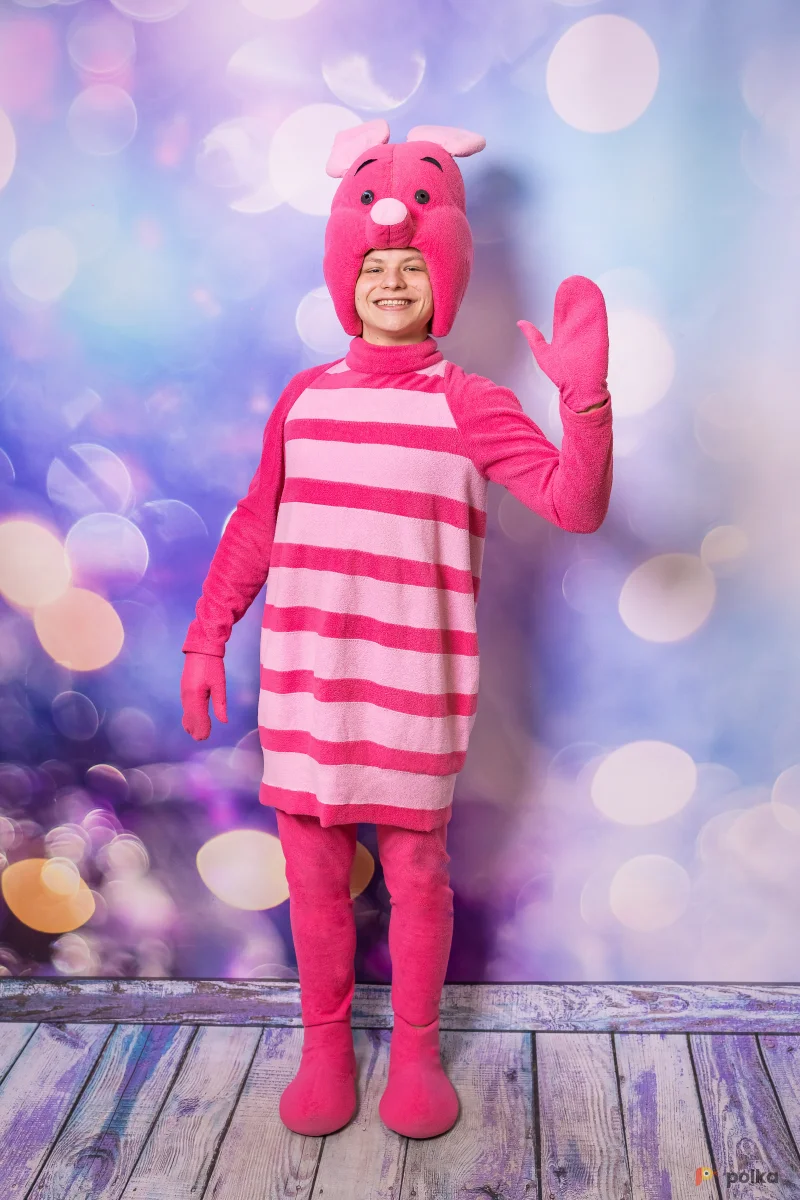 Возьмите Поросёнок Пятачок костюм напрокат (Фото 1) в Москве