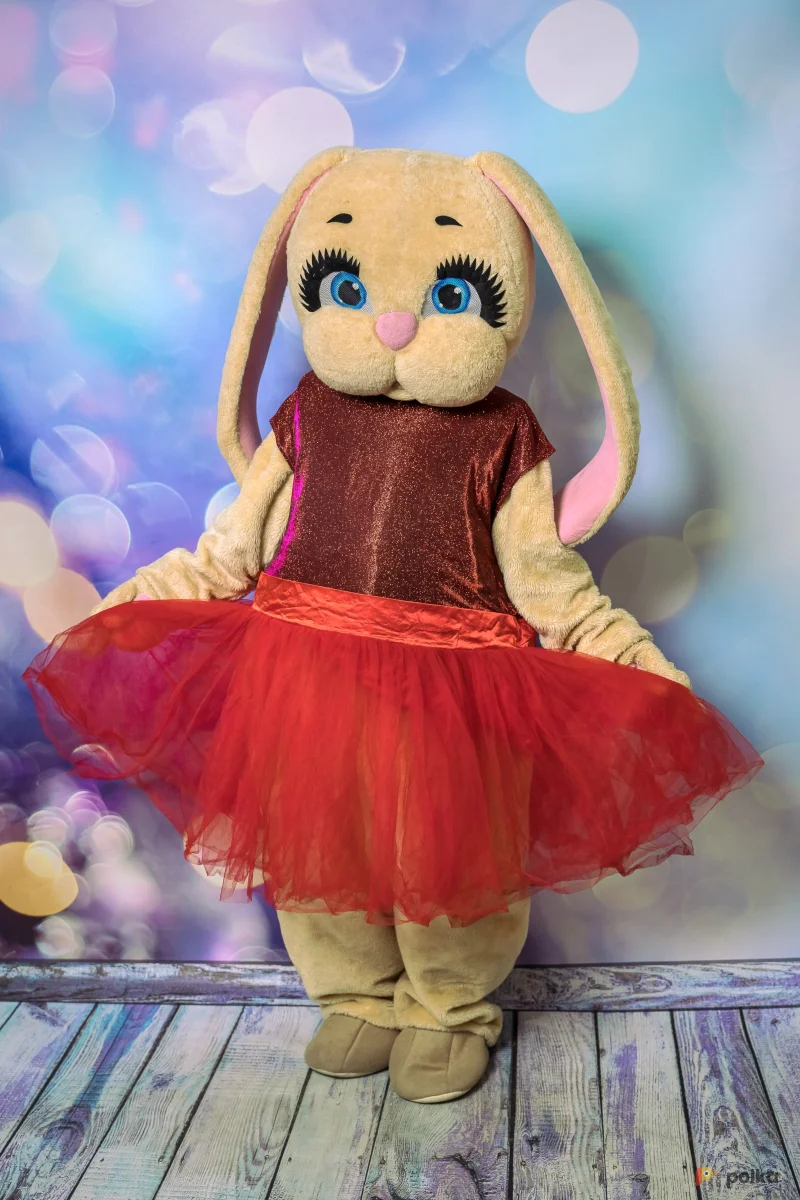 Возьмите Зайка ростовая кукла костюм  напрокат (Фото 1) в Москве