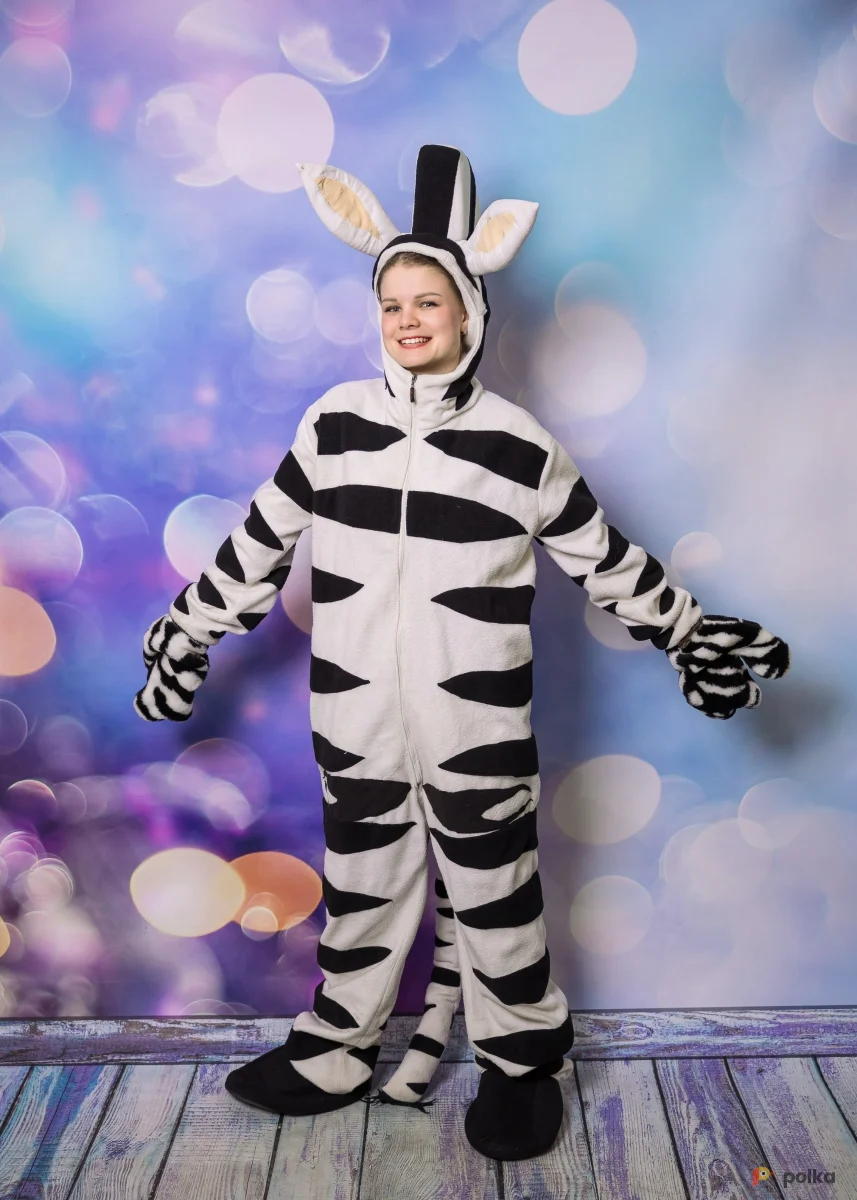Возьмите Зебра костюм напрокат (Фото 1) в Москве