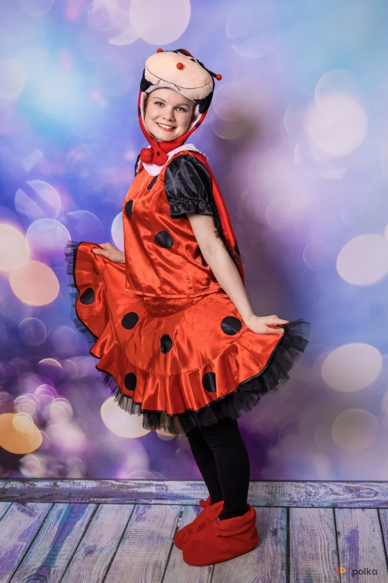 Возьмите Божья коровка костюм напрокат (Фото 1) в Москве
