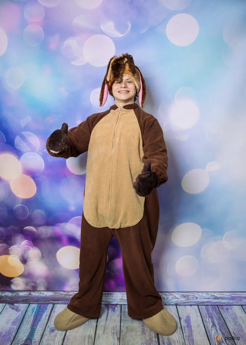 Возьмите Собачка костюм  напрокат (Фото 1) в Москве