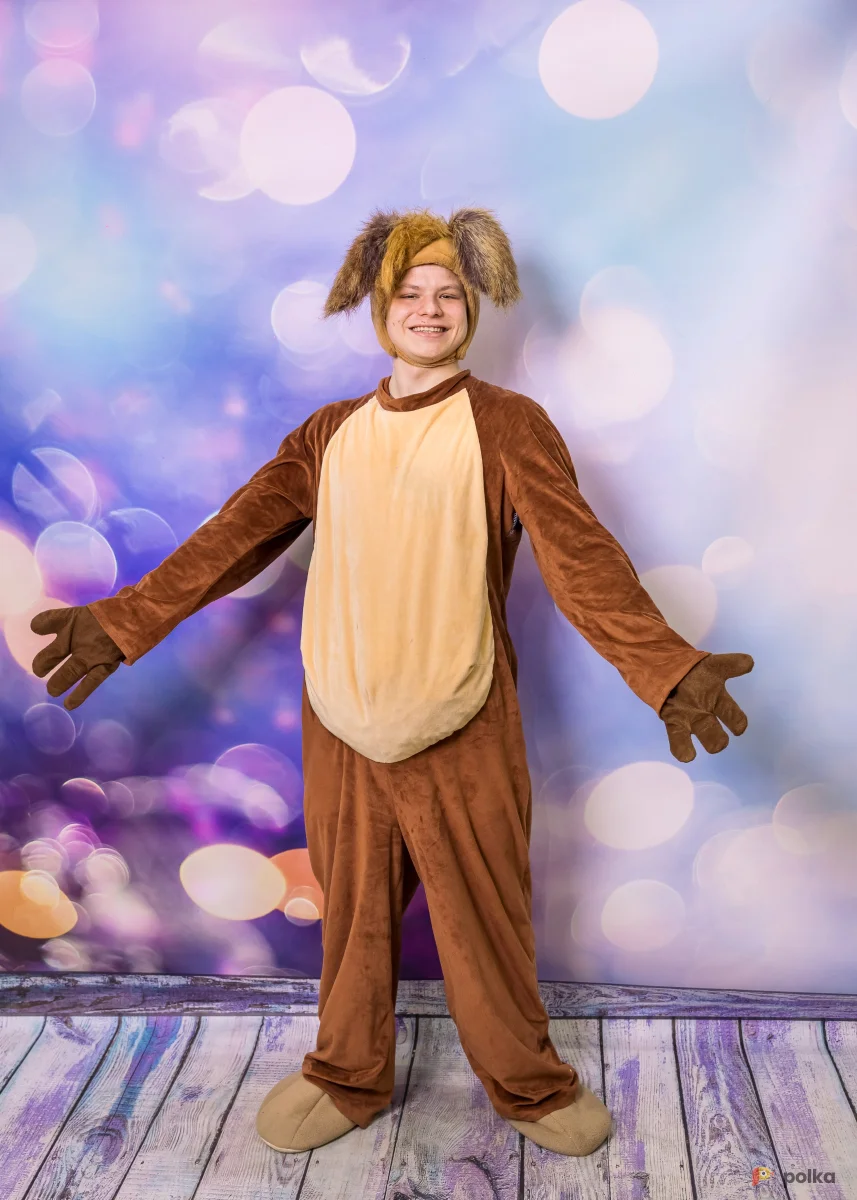 Возьмите Собачка костюм напрокат (Фото 1) в Москве