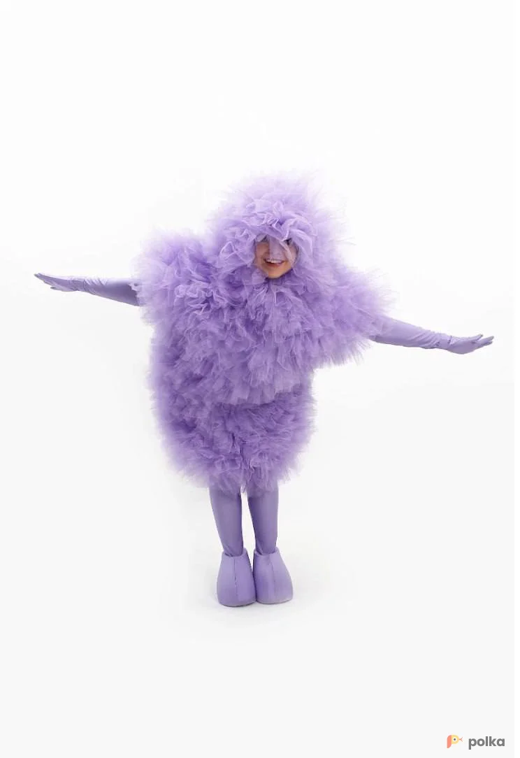 Возьмите костюм Фьек напрокат (Фото 1) в Москве