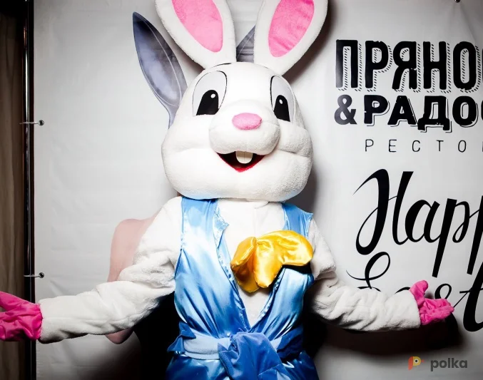 Возьмите Ростовая кукла «Заяц» напрокат (Фото 1) в Санкт-Петербурге