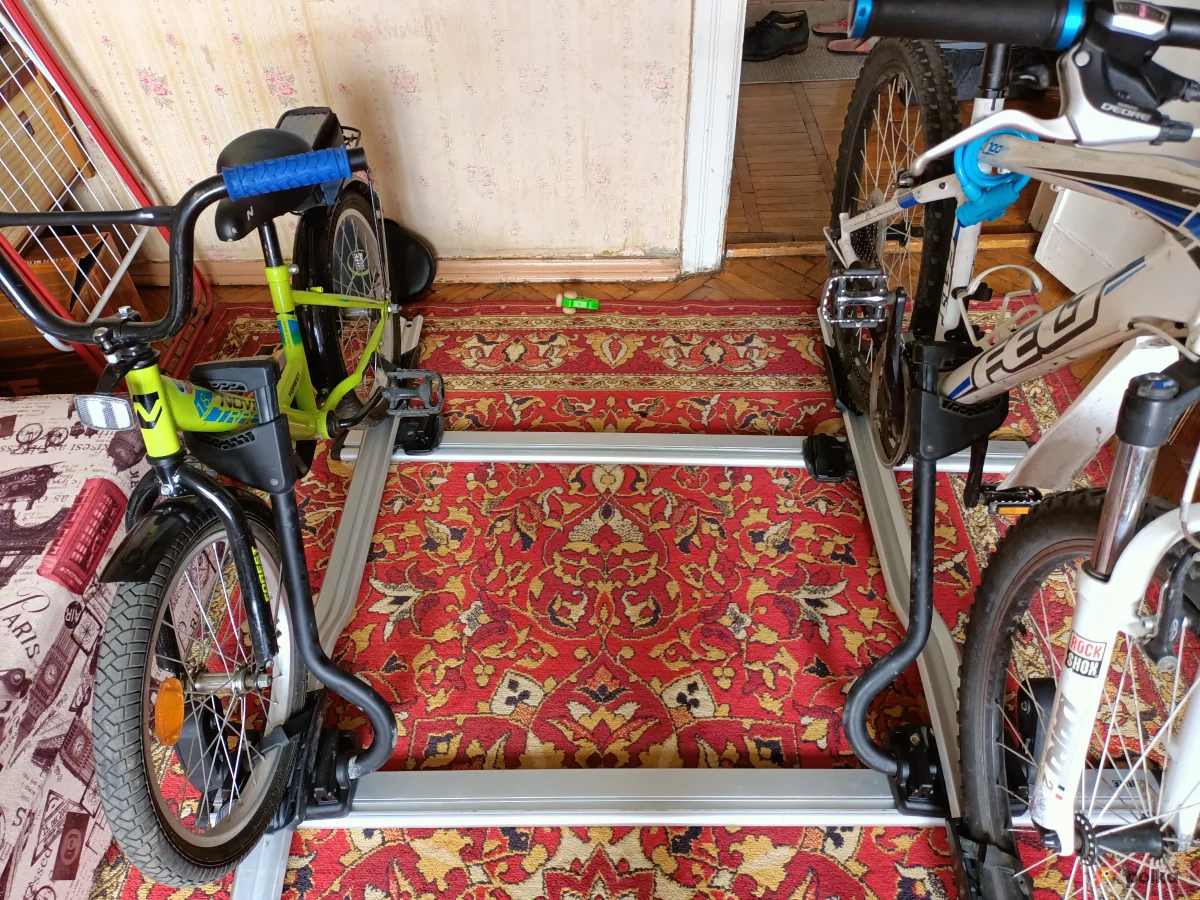 Возьмите велосипедный багажник Thule ProRide 598 напрокат (Фото 1) в Москве