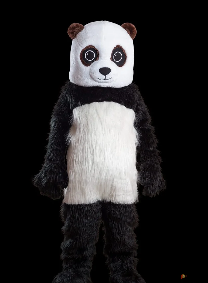 Возьмите Ростовая кукла Панда напрокат (Фото 1) в Санкт-Петербурге