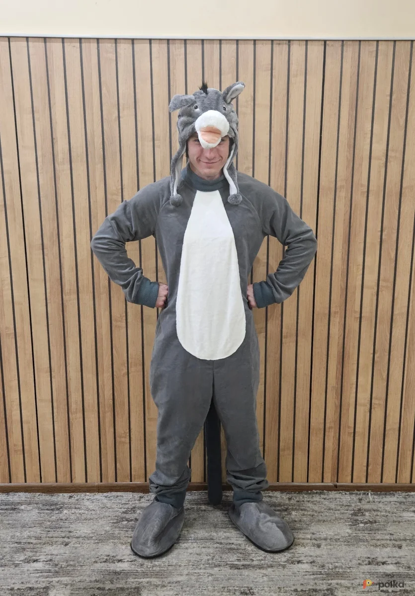 Возьмите Ослик костюм напрокат (Фото 1) в Москве