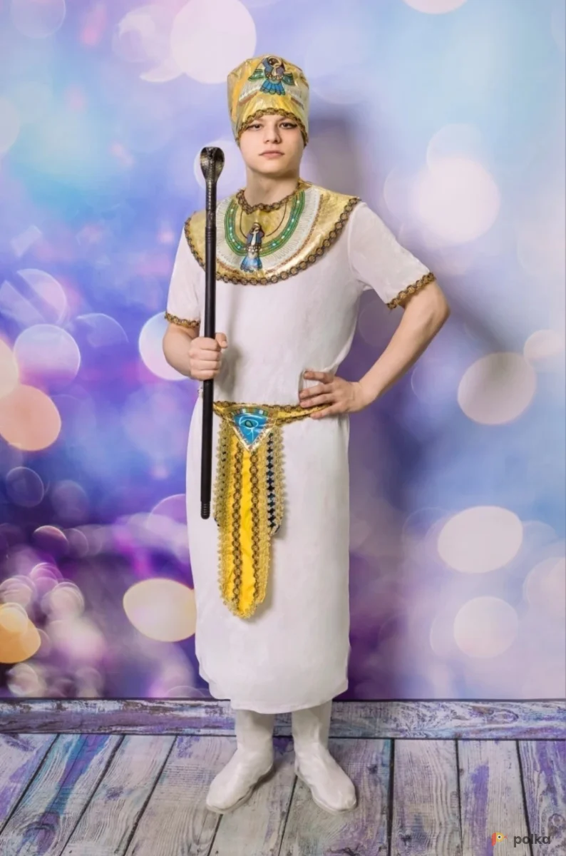 Возьмите Фараон напрокат (Фото 1) в Москве