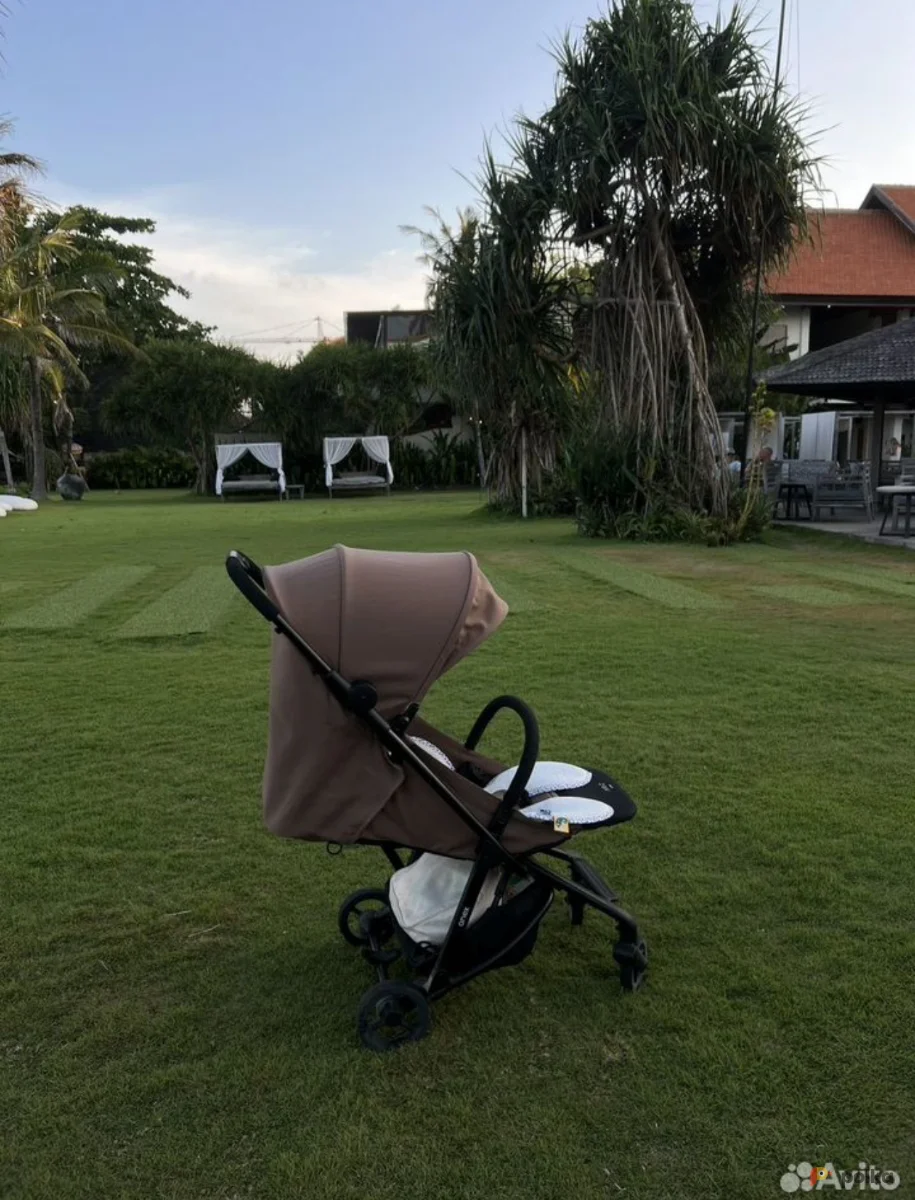 Возьмите Коляска Anex Air Z 6 кг напрокат (Фото 1) в Москве