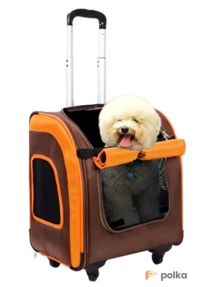 Возьмите Тележка-трансформер Liso для собак до 10 кг напрокат (Фото 1) в Москве