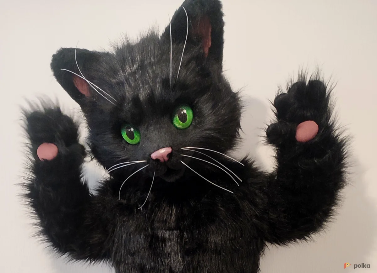 Возьмите Ростовая кукла Котик Чёрный напрокат (Фото 1) в Москве