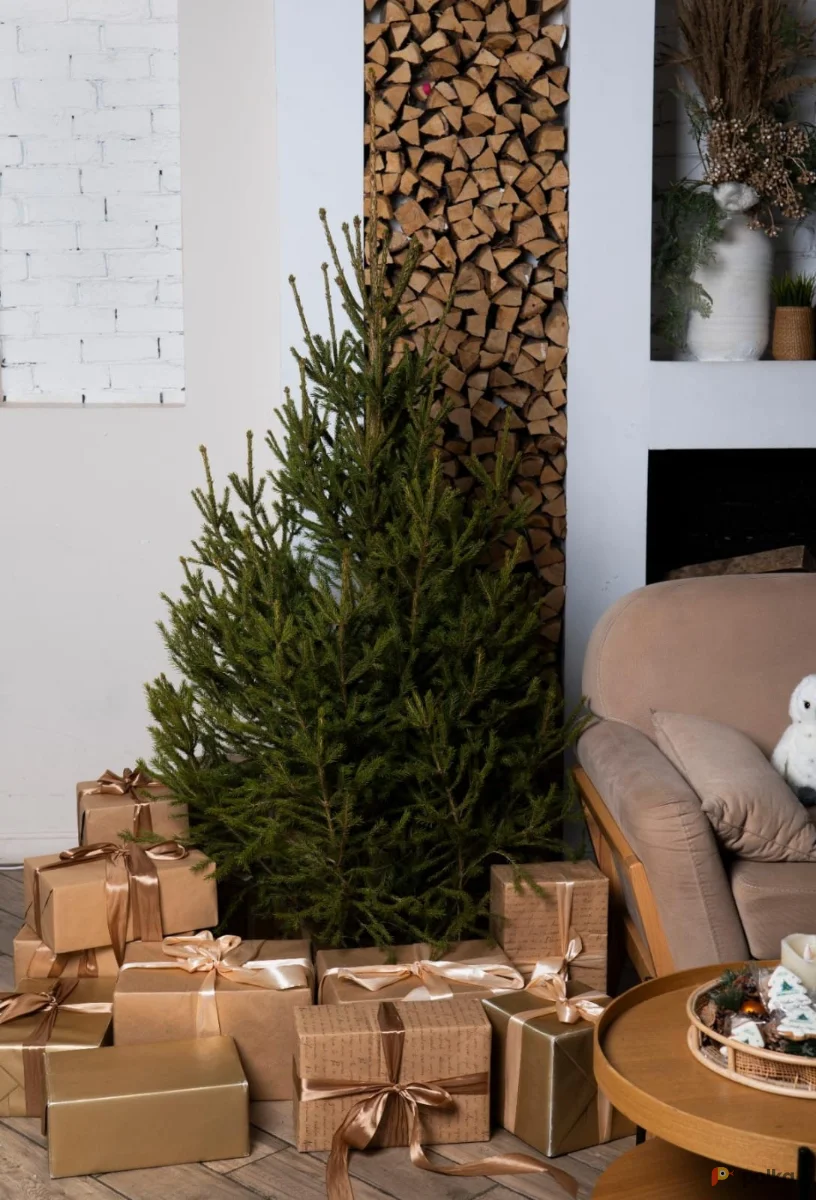 Возьмите Русская ель в горшке 1,20-1,40 м напрокат (Фото 1) в Москве