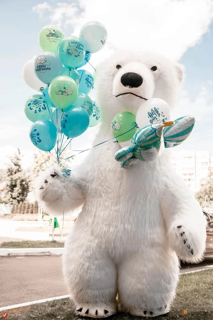 Возьмите Ростовая кукла надувной мишка  напрокат (Фото 1) в Москве