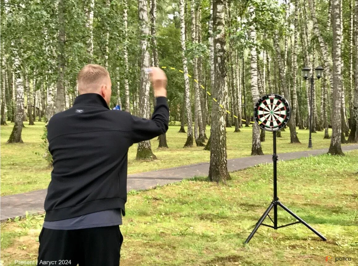 Возьмите Классический дартс напрокат (Фото 1) в Москве