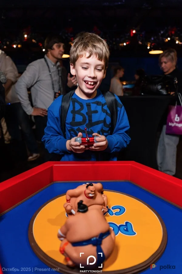 Возьмите Робо-сумо напрокат (Фото 1) в Москве