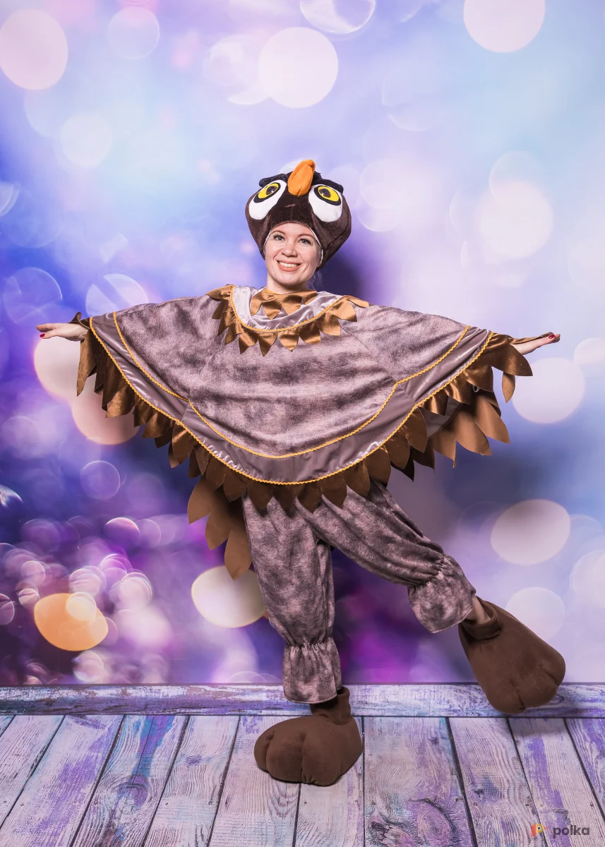Возьмите Сова костюм напрокат (Фото 1) в Москве