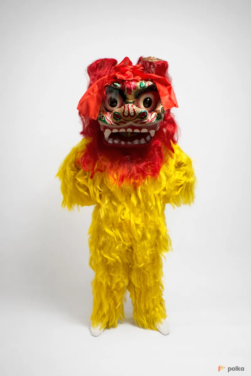 Возьмите Костюм китайского льва  напрокат (Фото 1) в Москве