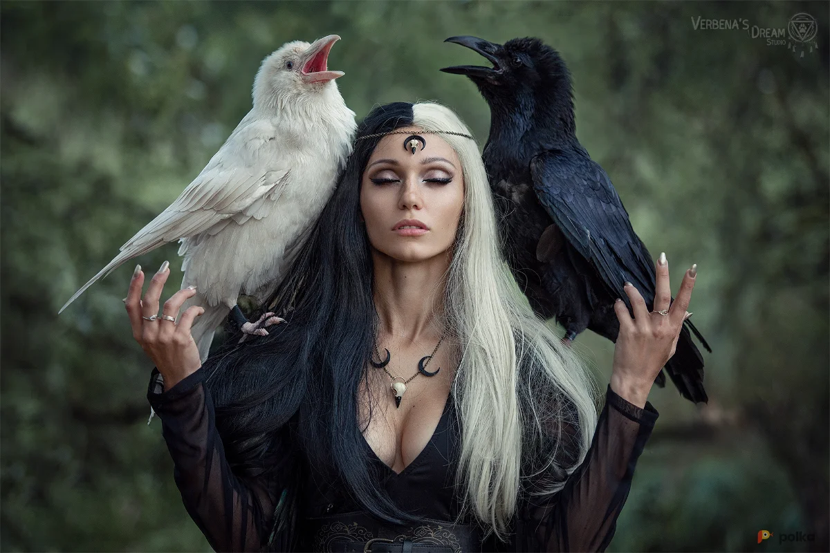 Возьмите Готический черный костюм колдуньи, чародейки на хэллоуин Равновесие напрокат (Фото 1) в Москве