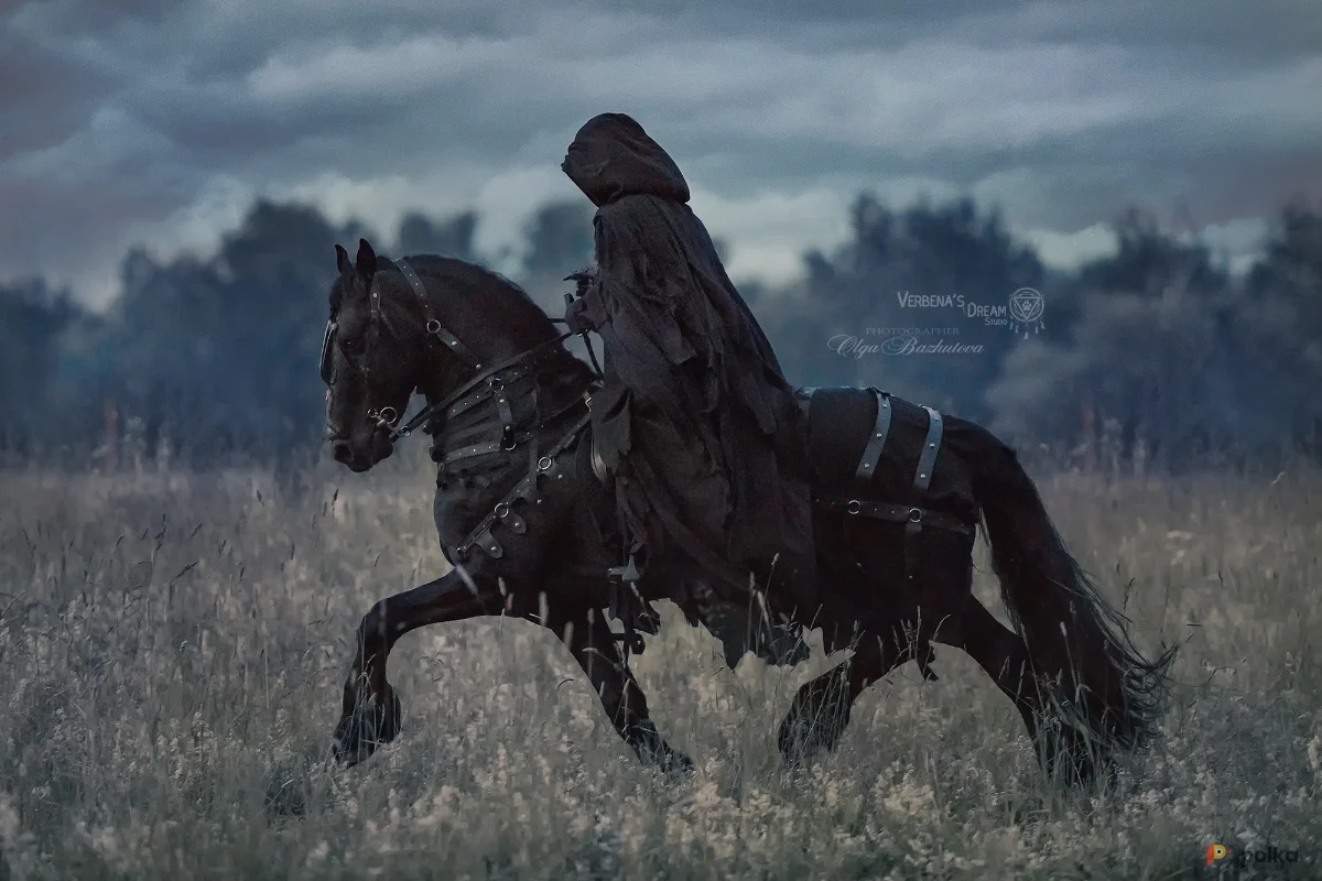 Возьмите Костюм Назгула короля Ангмара Властелин колец фэнтези напрокат (Фото 1) в Москве