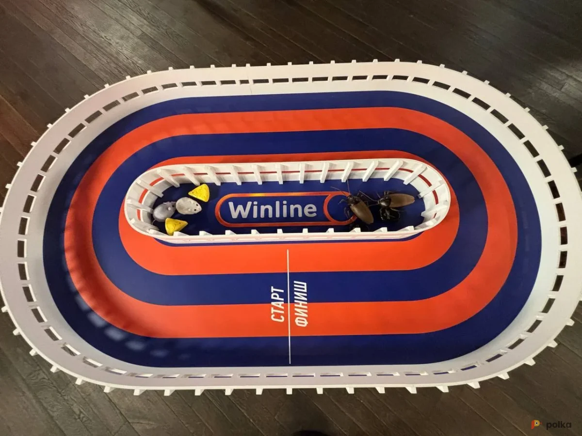 Возьмите Ипподром мини напрокат (Фото 1) в Москве