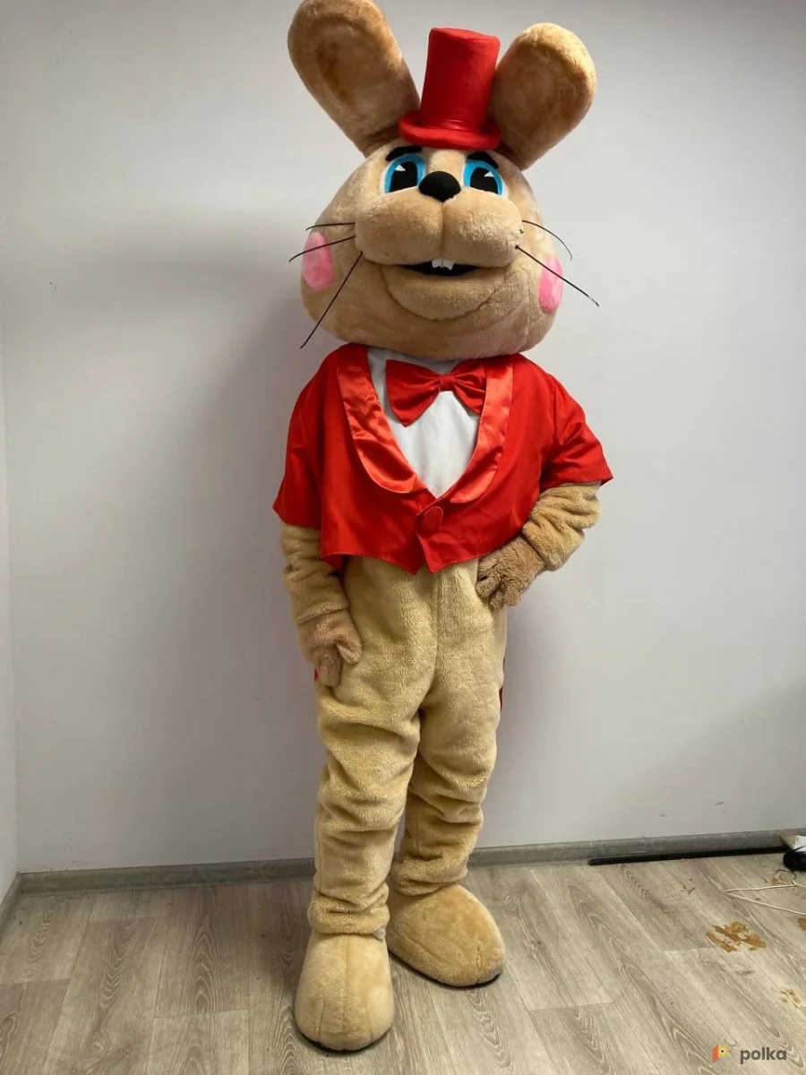 Возьмите Заяц русак нарядный напрокат (Фото 1) В Нижнем Новгороде