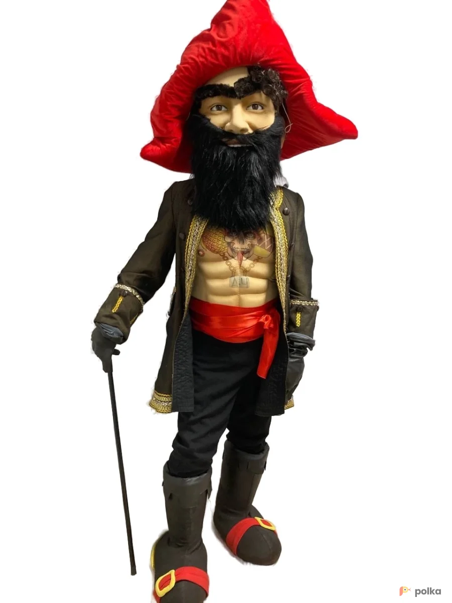 Возьмите Пират Гольд напрокат (Фото 1) В Нижнем Новгороде