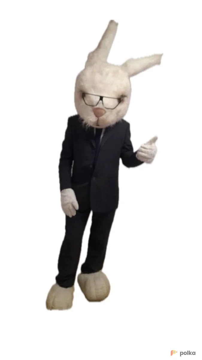 Возьмите Умный кролик напрокат (Фото 1) В Нижнем Новгороде