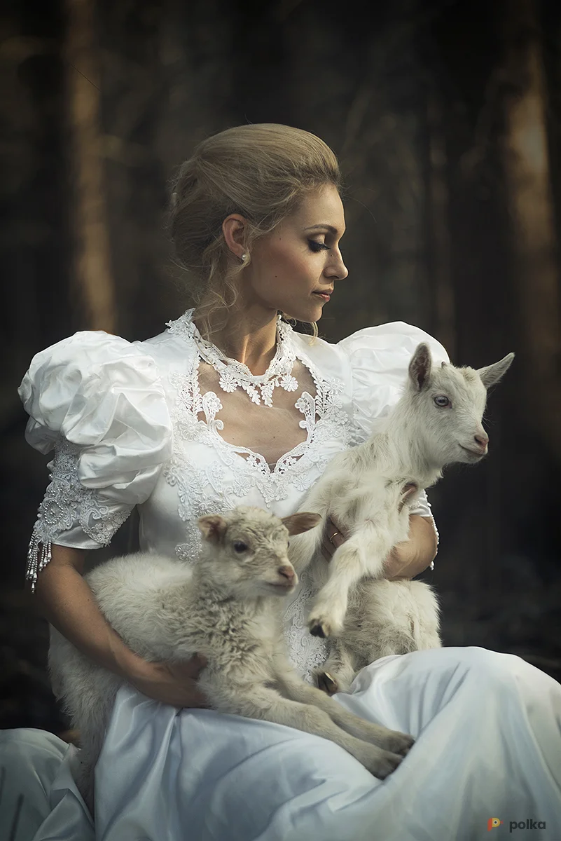 Возьмите Винтажное средневековое белое платье принцессы напрокат (Фото 1) в Москве