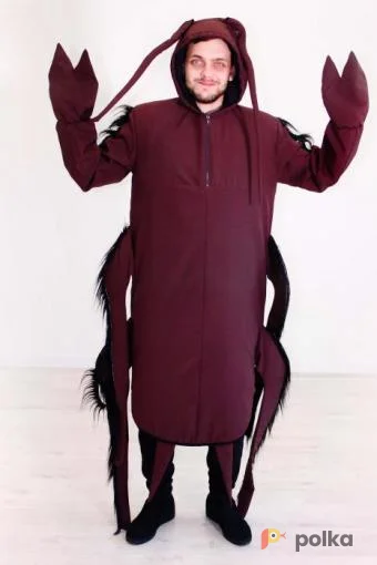 Возьмите Таракан Темный напрокат (Фото 1) В Нижнем Новгороде