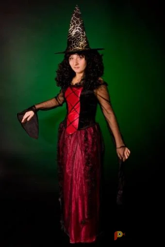 Возьмите Ведьма Бордо напрокат (Фото 1) В Нижнем Новгороде