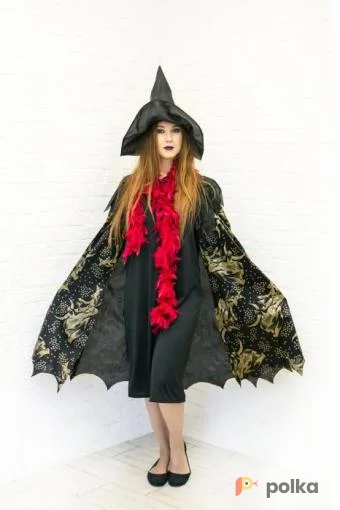 Возьмите Ведьма Гебура напрокат (Фото 1) В Нижнем Новгороде