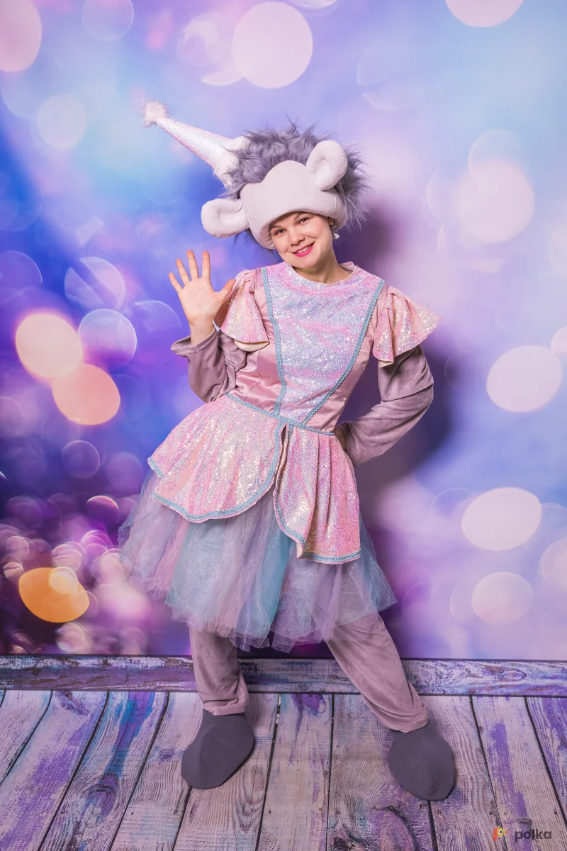 Возьмите Ёжик костюм напрокат (Фото 1) в Москве