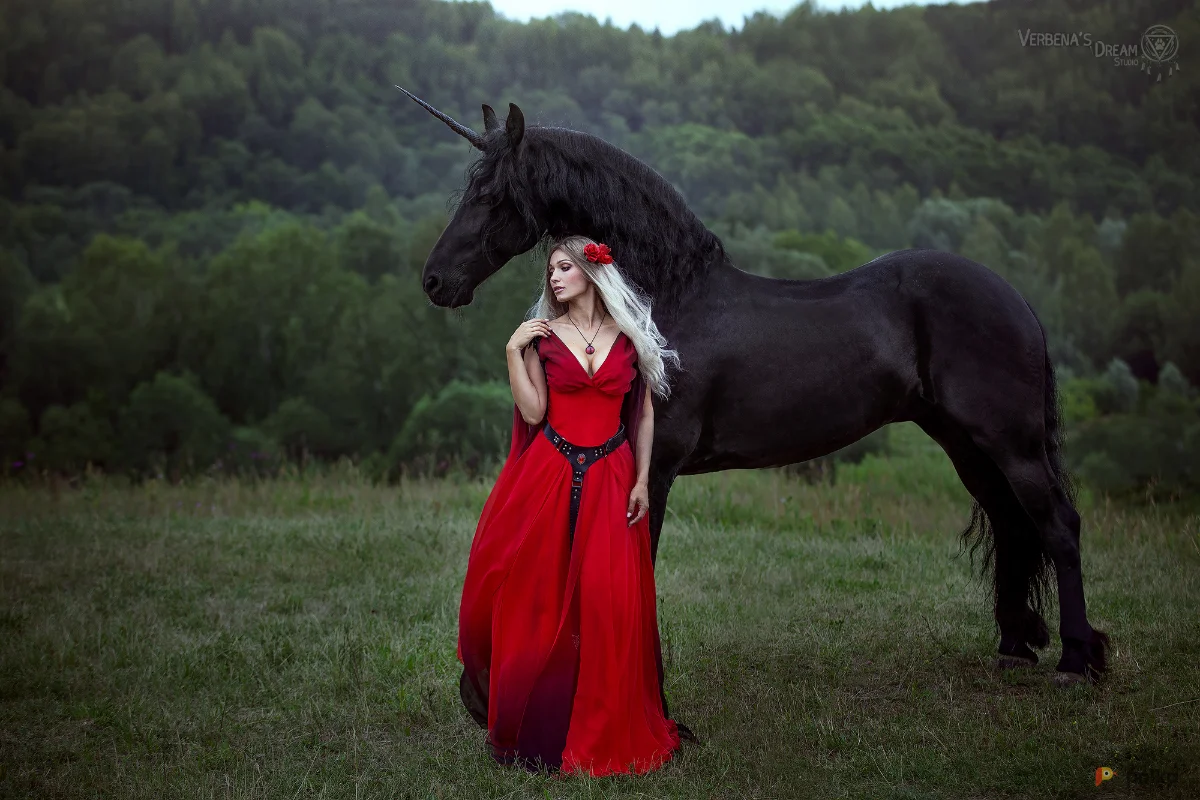 Возьмите Красно-черное обмре средневековое королевское платье вампира принцессы эльфийки чародейки напрокат (Фото 1) в Москве