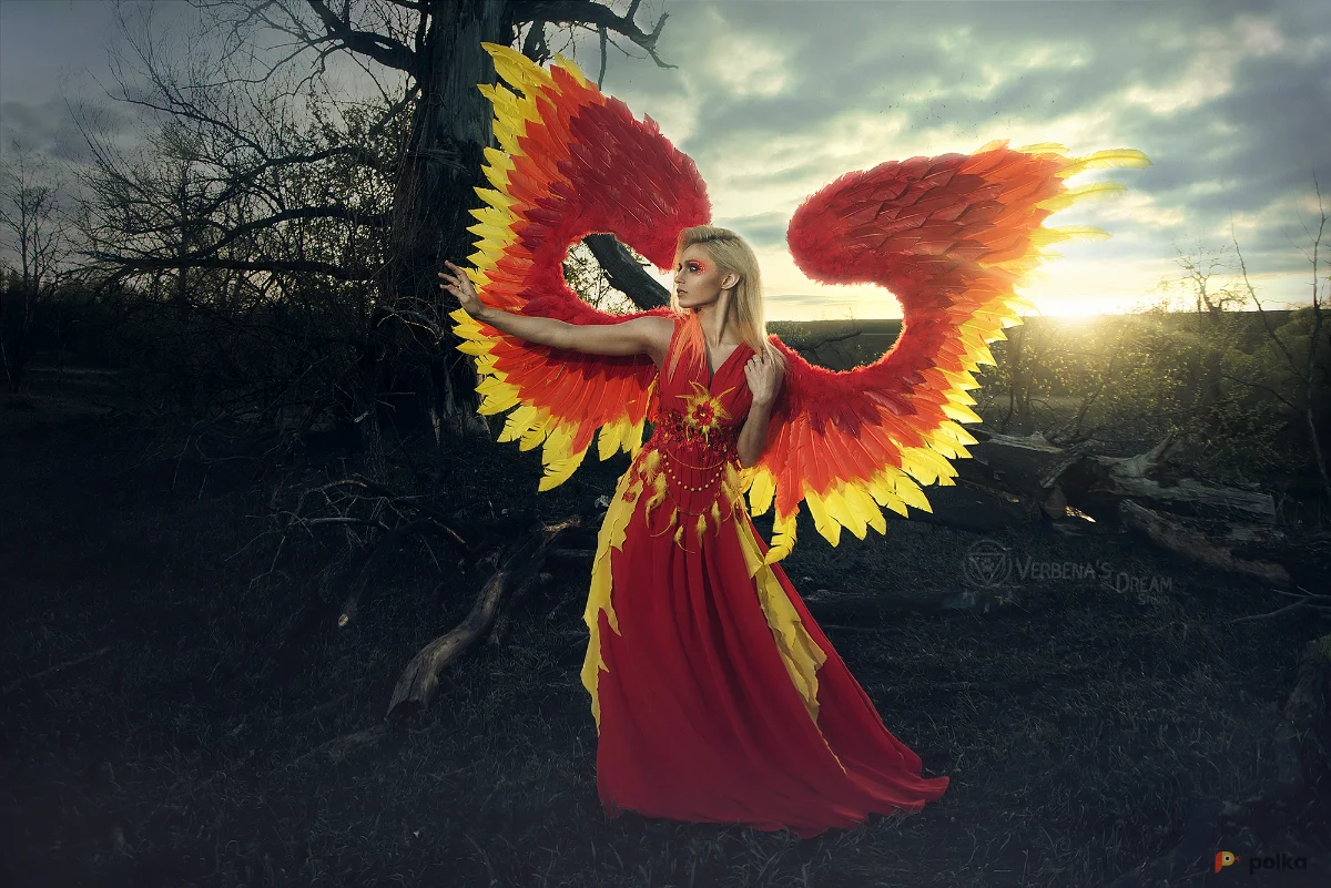 Возьмите Женский костюм платье феникса с большими перьевыми крыльями напрокат (Фото 1) в Москве