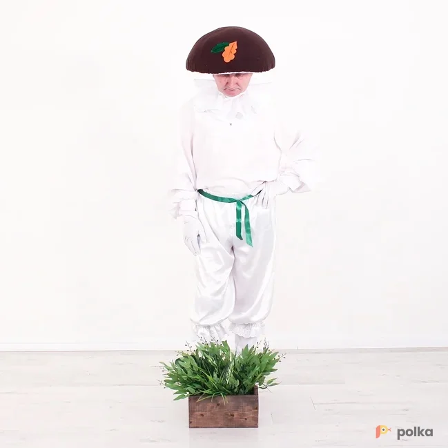 Возьмите Гриб напрокат (Фото 1) В Нижнем Новгороде