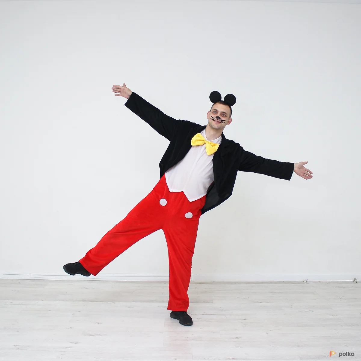 Возьмите Микки Маус напрокат (Фото 1) В Нижнем Новгороде