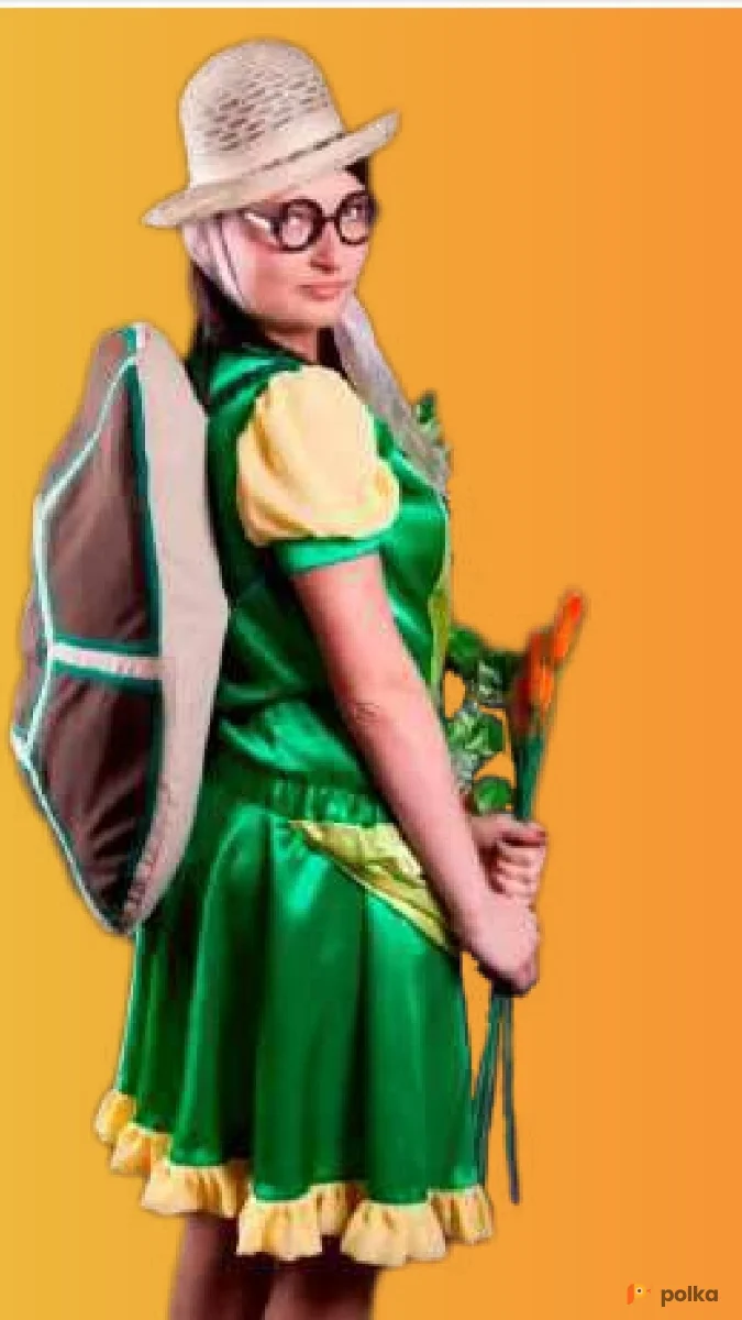 Возьмите Черепаха тортилла напрокат (Фото 1) В Нижнем Новгороде