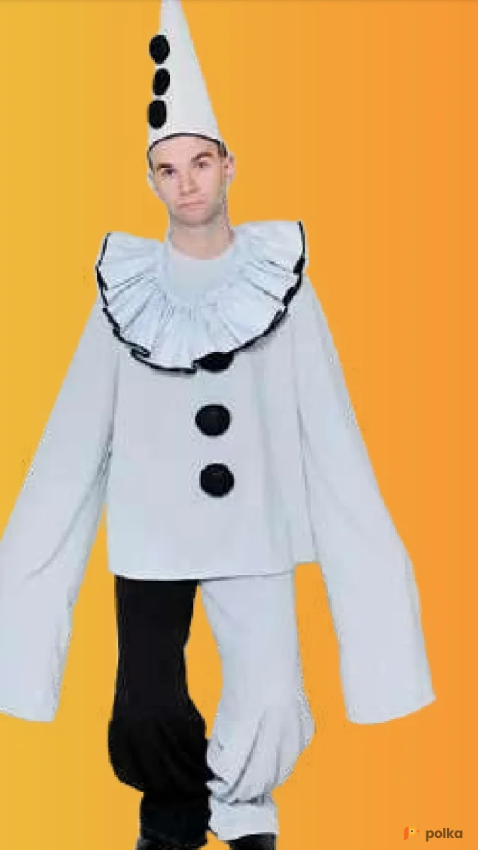 Возьмите Пьеро напрокат (Фото 1) В Нижнем Новгороде