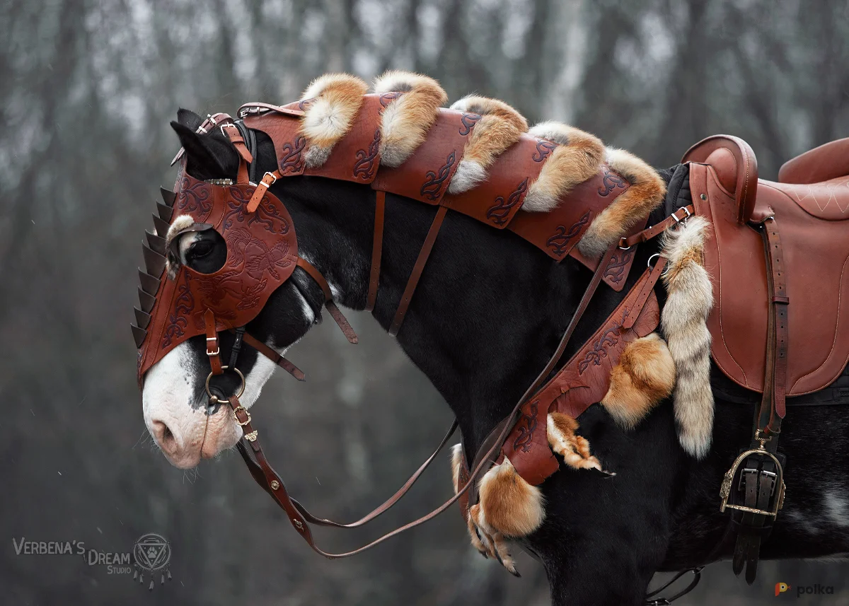 Возьмите Коричневая кожаная амуниция на коня напрокат (Фото 1) в Москве