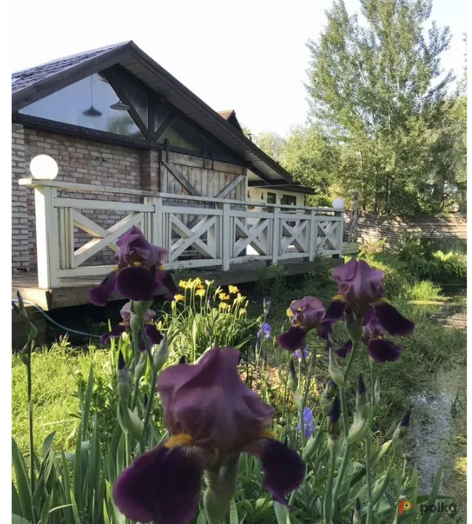 Возьмите Дом+Беседка+Баня до 3-х чел. Будни(проживание) напрокат (Фото 1) в Москве