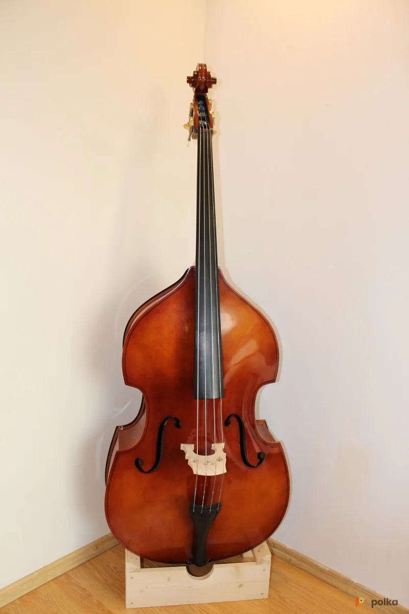 Возьмите Контрабас напрокат (Фото 1) в Москве