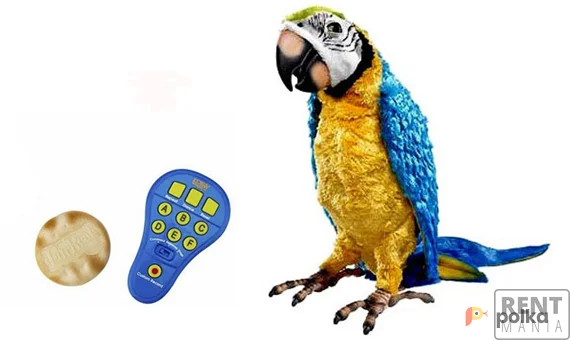 Возьмите Интерактивный попугай Hasbro "Умный Кеша" напрокат (Фото 1) в Москве