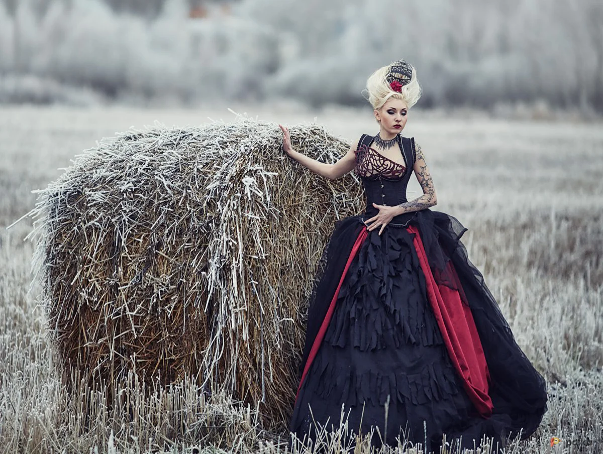 Возьмите Готика готический костюм напрокат (Фото 1) в Москве