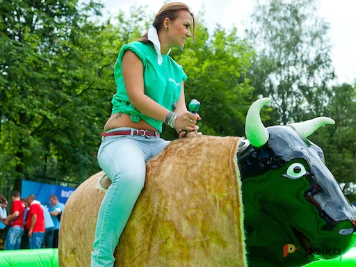 Возьмите Бык Родео напрокат (Фото 1) в Москве