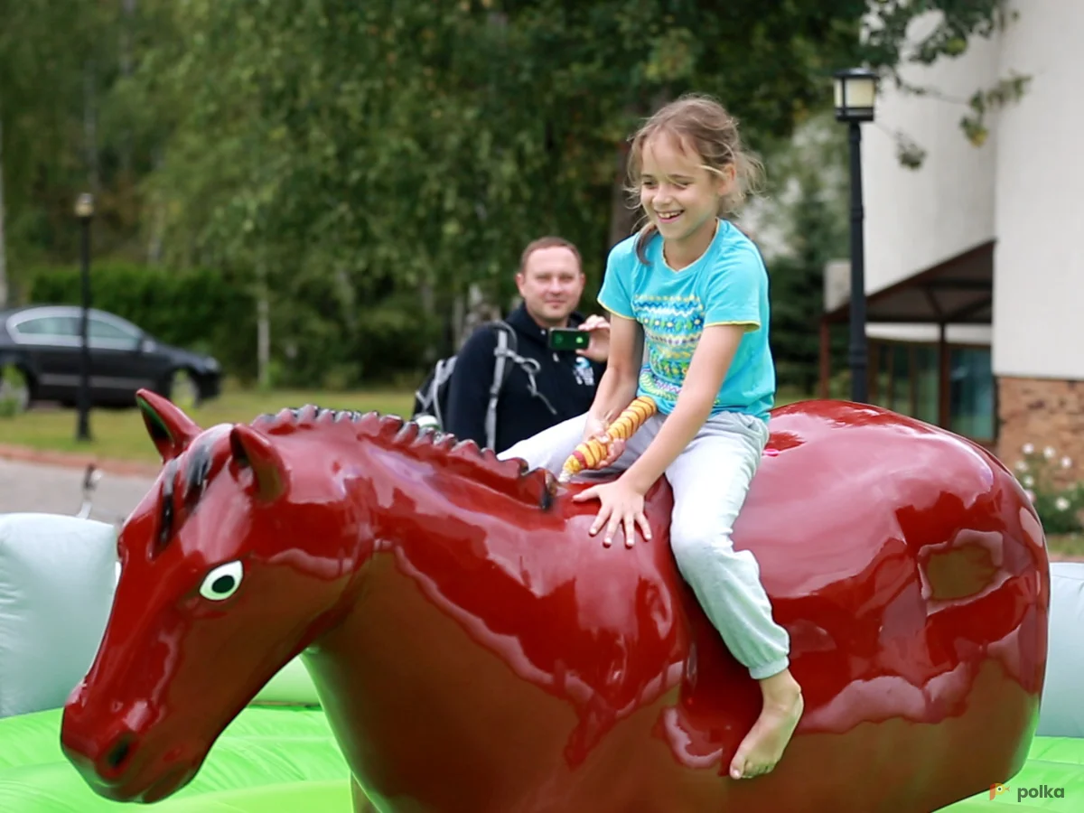 Возьмите Конь Родео напрокат (Фото 1) в Москве