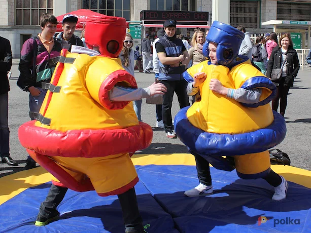 Возьмите Сумо напрокат (Фото 1) в Москве