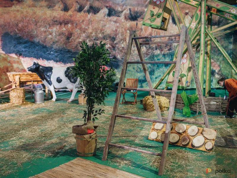 Возьмите Лесенка напрокат (Фото 1) в Москве