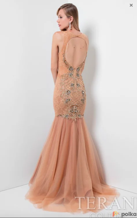 Возьмите Платье Terani Couture TDL048 напрокат (Фото 1) в Москве