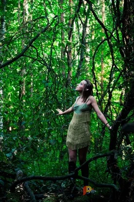 Возьмите Великий Гэдсби напрокат (Фото 1) в Москве